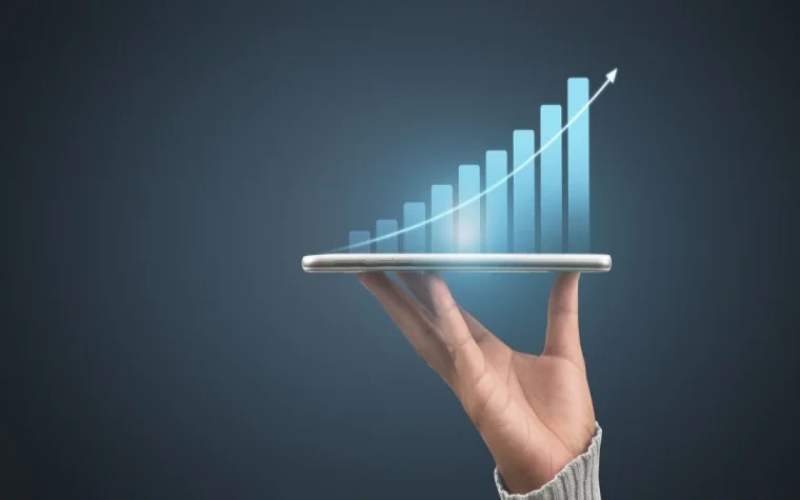 Large Cap Mutual Funds: Stability in an Ever-Changing Market Landscape